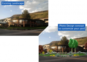 design1-bg