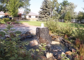 denver-landscaping-design-4