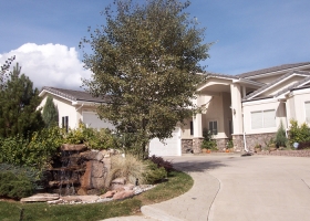 denver-landscaping-design-6
