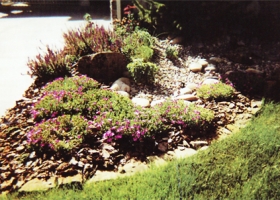 denver-landscaping-xeriscape2