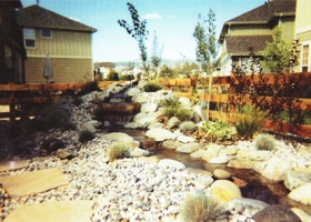denver-landscaping-xeriscape3