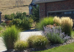 denver-landscaping-xeriscape4