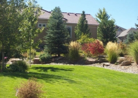 denver-landscaping-xeriscape5
