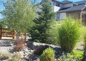 denver-landscaping-xeriscape6