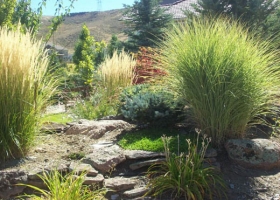 denver-landscaping-xeriscape8