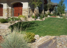 denver-landscaping-xeriscape9